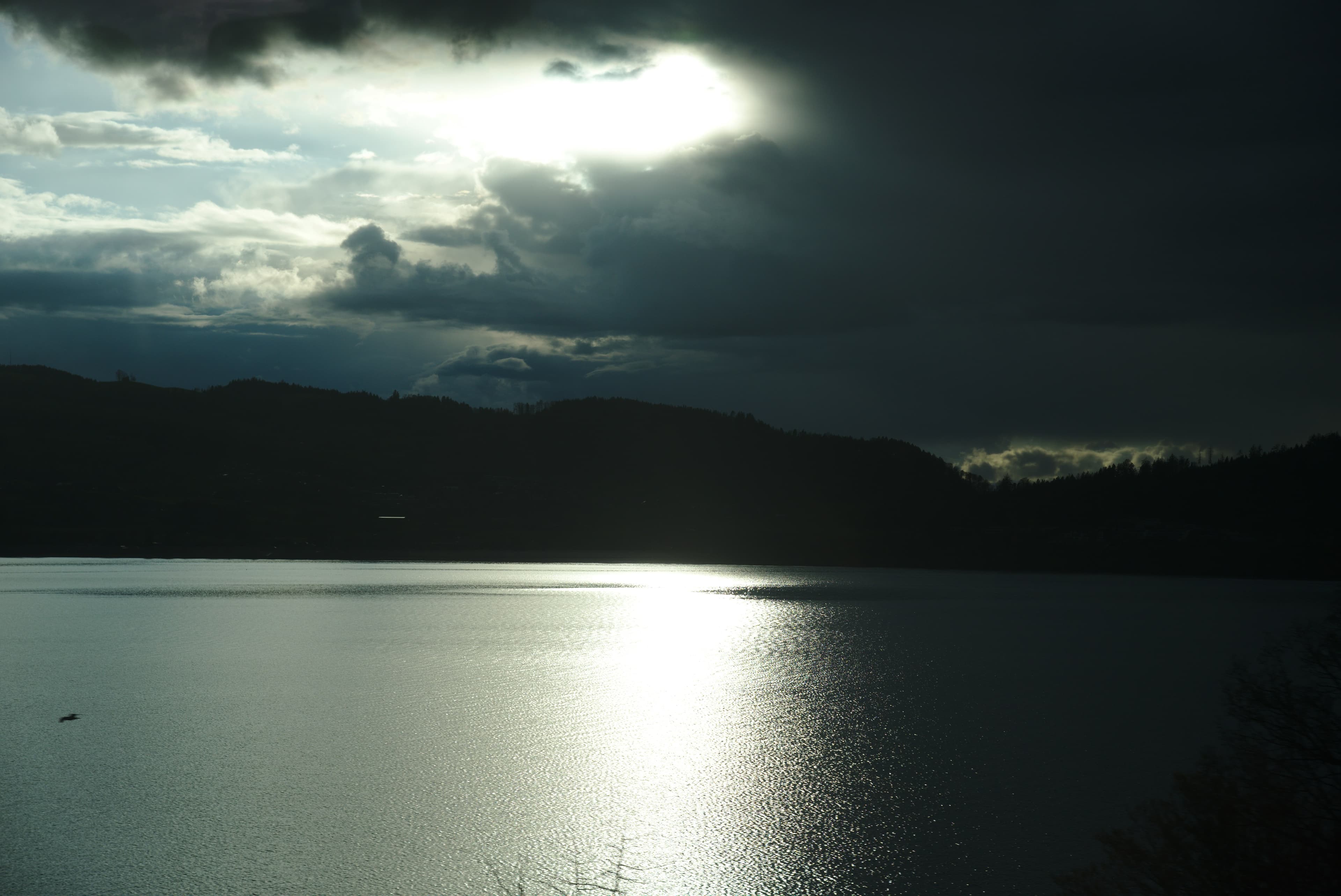 養成講座の修了記録、本当に「証明」できていますか?