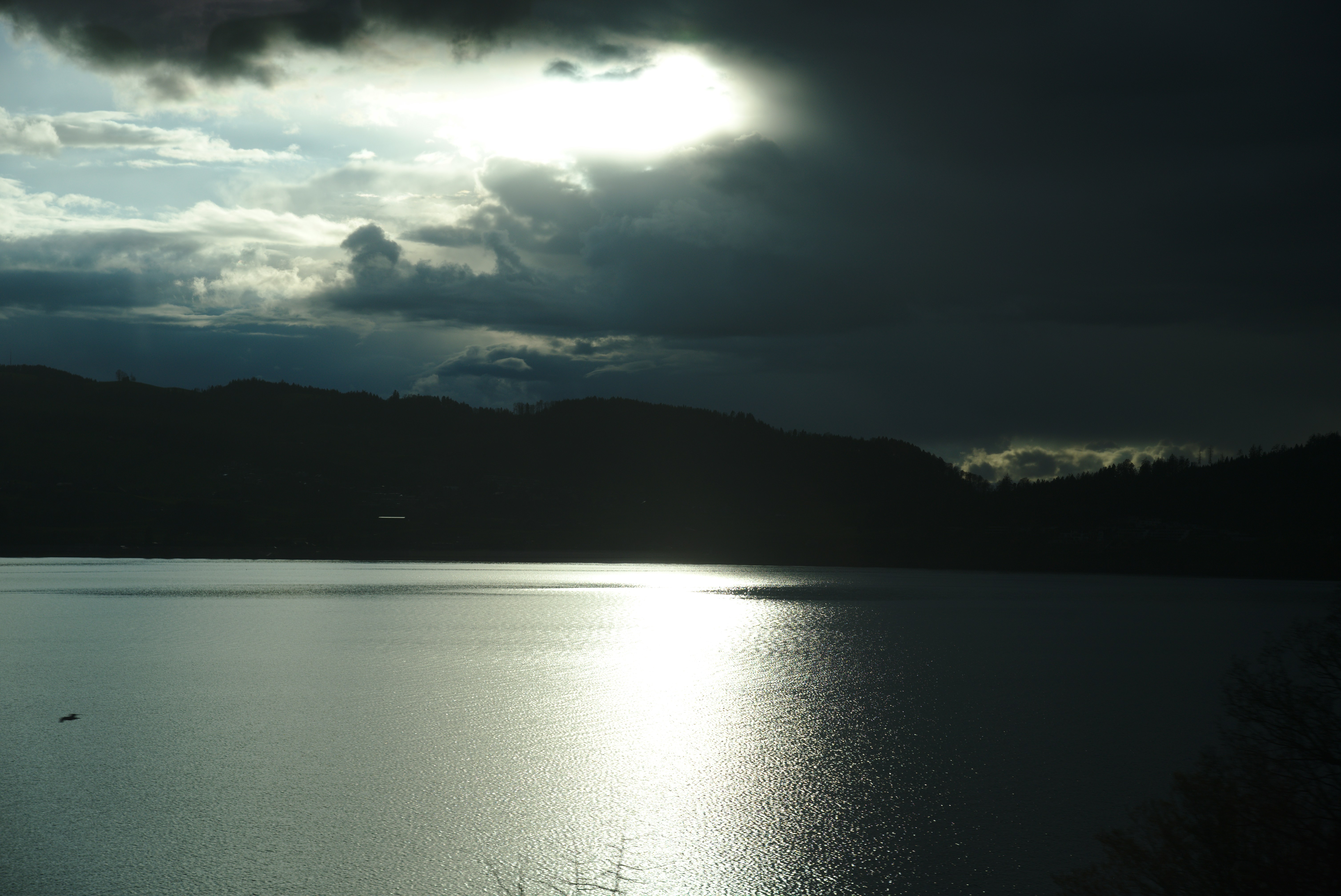 養成講座の修了記録、本当に「証明」できていますか?